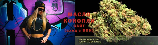 индика Новокубанск