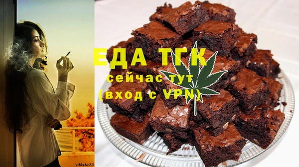 индика Новокубанск