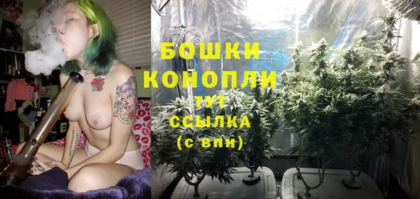 индика Новокубанск