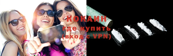 индика Новокубанск