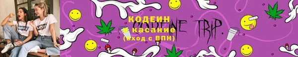 индика Новокубанск