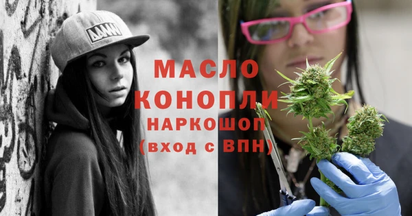 индика Новокубанск