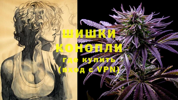 индика Новокубанск