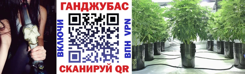 kraken вход  Харабали  даркнет наркотические препараты  Каннабис тримм 